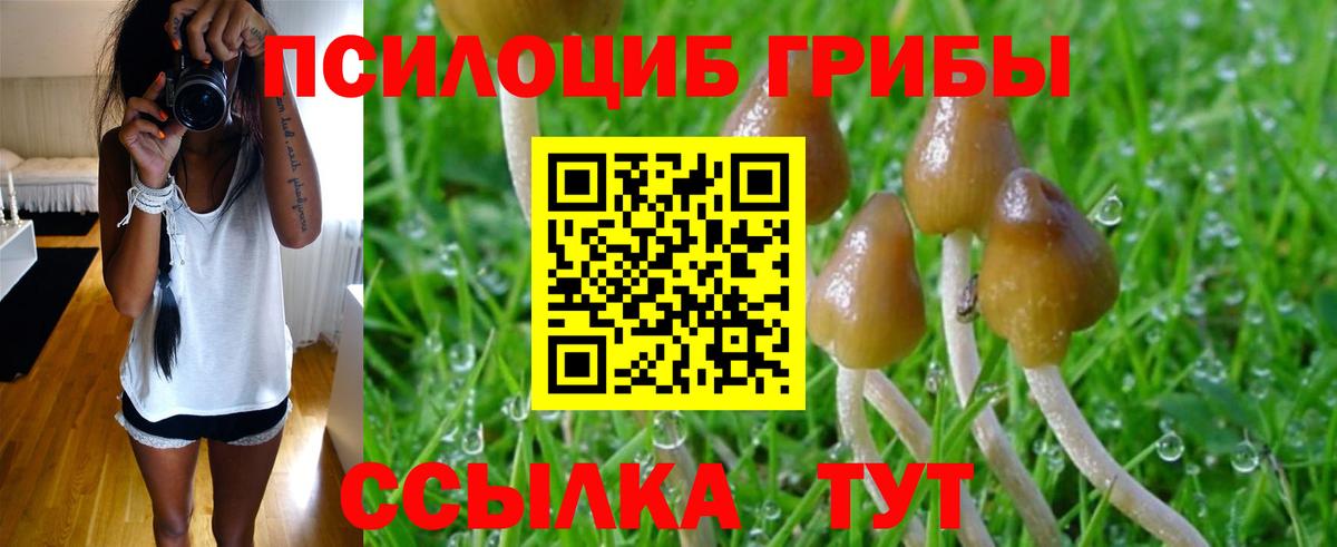 Псилоцибиновые грибы мицелий Сибай
